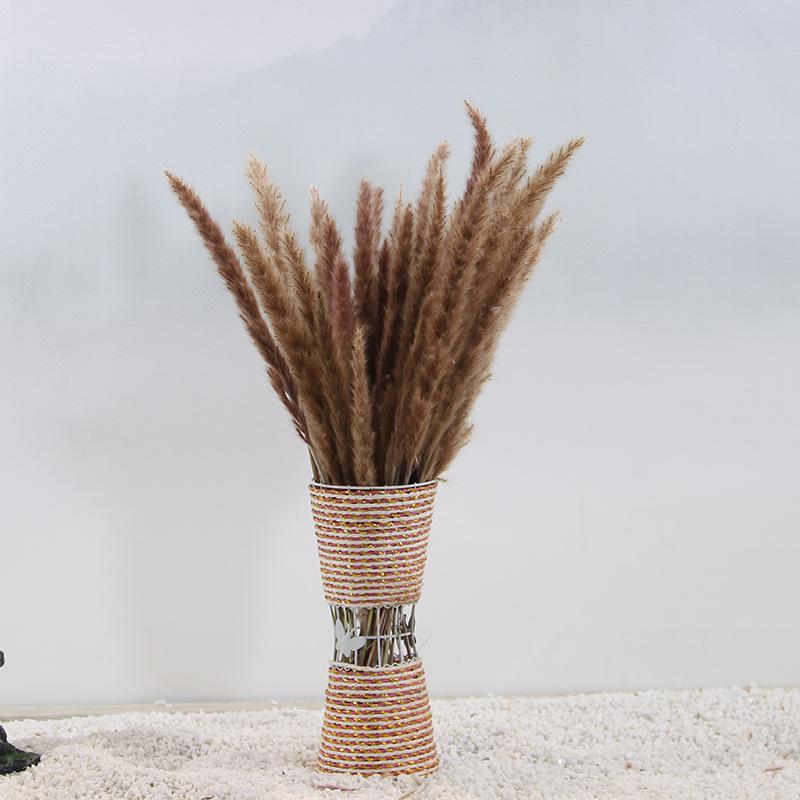 Reed Dried Flower Home Wedding Decoration Preserved Fresh Flower Bouquet Photography Filming Props Large Reed Pampas Grass Dried, 100 pcs or above price
Reed Dried Flower Home Wedding Decoration Preserved Fresh Flower Bouquet Photography Filming Props Large Reed Pampas Grass Dried, 100 pcs or above price