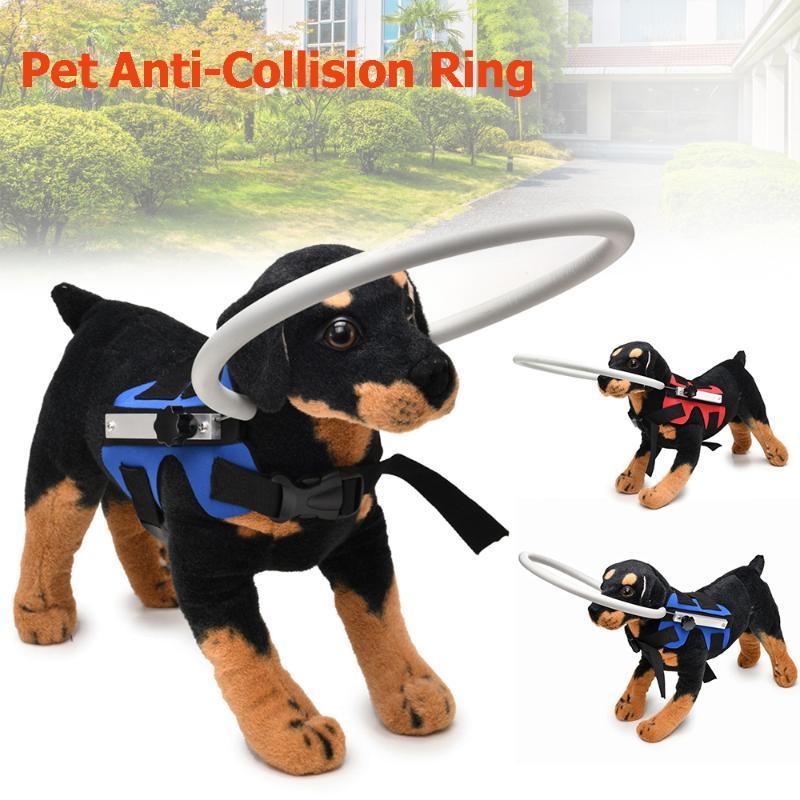 Blind Pet Anti-collision Collar Dog Guide Training Behavior Aids For Small Big Dogs Prevent Collision Protection Collars Supplie1
Blind Pet Anti-collision Collar Dog Guide Training Behavior Aids For Small Big Dogs Prevent Collision Protection Collars Supplie1