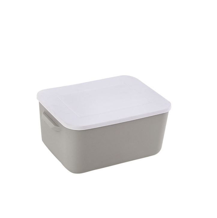 Modern and simple plastic storage box with lid toy book sorting box household sundries storage and clothing storage
Modern and simple plastic storage box with lid toy book sorting box household sundries storage and clothing storage