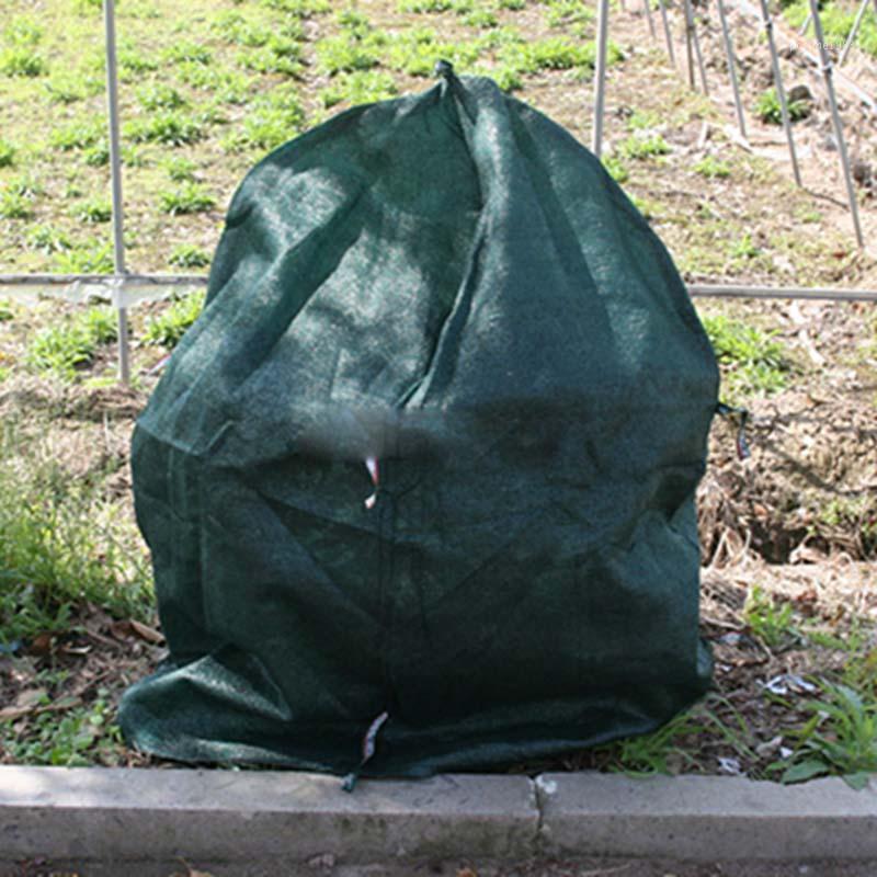 Winter Plant Cover Protection Sunshade Net Shade Net Protection Anti Cold Tree Flowers Cover Breath Rose Succulent lily Plant1, 50x110
Winter Plant Cover Protection Sunshade Net Shade Net Protection Anti Cold Tree Flowers Cover Breath Rose Succulent lily Plant1, 50x110