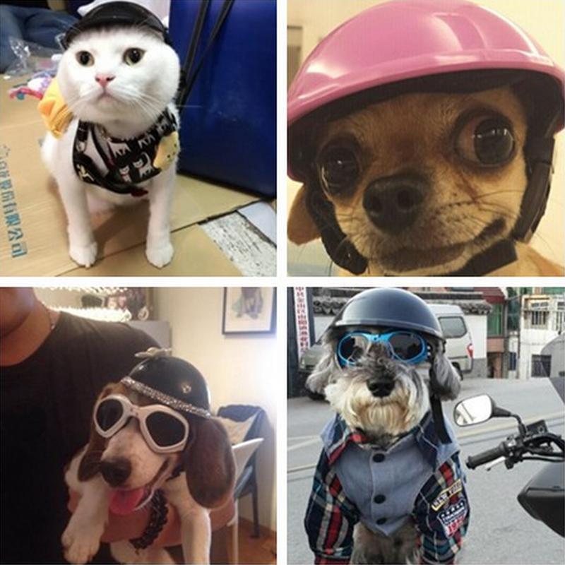 Wholesale Pets Helmets Ridding Cap Handsome Biker hat ABS Doggie Puppy Motorcycle Protect for Sports Lovely Dog cat Costumes S31, Black
Wholesale Pets Helmets Ridding Cap Handsome Biker hat ABS Doggie Puppy Motorcycle Protect for Sports Lovely Dog cat Costumes S31, Black