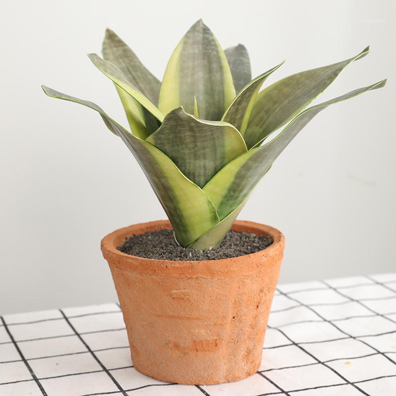 Cilected 3Pcs/Lot Artificial Plants Sansevieria Branch For Bonsai Decoration Fake Plastic Tiger Piran Leaves Plants Home Décor1, A2 
Cilected 3Pcs/Lot Artificial Plants Sansevieria Branch For Bonsai Decoration Fake Plastic Tiger Piran Leaves Plants Home Décor1, A2