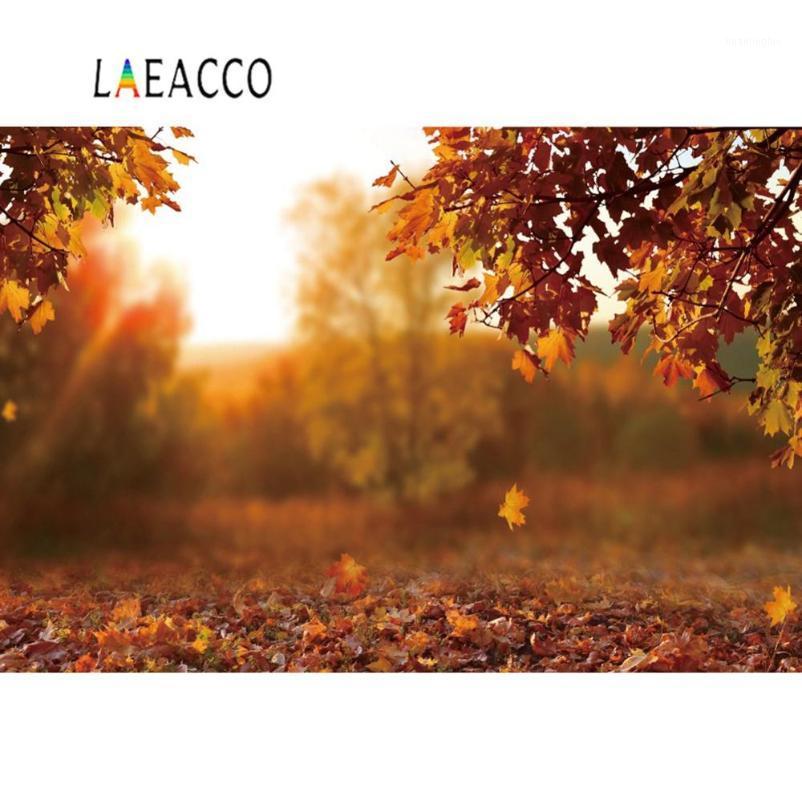 Laeacco Autumn Backgrounds For Photography Fallen Leaves Maples Light Bokeh Sunshine Baby Newborn Portrait Scene Photo Backdrop1 
Laeacco Autumn Backgrounds For Photography Fallen Leaves Maples Light Bokeh Sunshine Baby Newborn Portrait Scene Photo Backdrop1