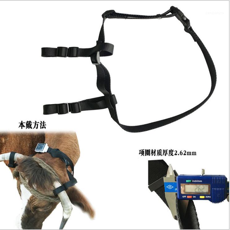Solar GPS Tracker Collar Holder Large Animals Neck Collar Belt for Big Dogs Sheep Horse Cow Camel for GPS Tracker V26 V34 V441 
Solar GPS Tracker Collar Holder Large Animals Neck Collar Belt for Big Dogs Sheep Horse Cow Camel for GPS Tracker V26 V34 V441