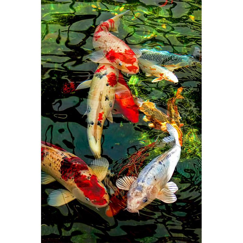 Diamond Embroidery Full Display Fish 5d Diamond Painting Cross stitch Decor Home Full Drill round Picture Rhinestone Mosaic Gift
Diamond Embroidery Full Display Fish 5d Diamond Painting Cross stitch Decor Home Full Drill round Picture Rhinestone Mosaic Gift