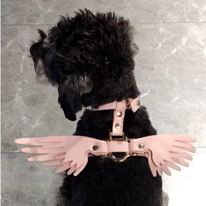 PU Leather Wing Collars Adjustable Collar Lead Pet Leash Harness For Small Medium Dog Cat Q1119
PU Leather Wing Collars Adjustable Collar Lead Pet Leash Harness For Small Medium Dog Cat Q1119
