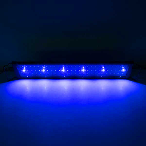 Hot selling 15W 48LED Full Spectrum Aquarium Lights high quality Sea Coral Lamp 23.6inch Black (Suitable For 23.6-31.49inch Long Aquarium)
Hot selling 15W 48LED Full Spectrum Aquarium Lights high quality Sea Coral Lamp 23.6inch Black (Suitable For 23.6-31.49inch Long Aquarium)