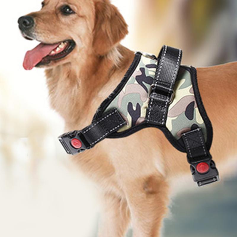 Pet Products for Large Dog Harness Puppy Lead Pets Vest Dog Leads Accessories LBShipping
Pet Products for Large Dog Harness Puppy Lead Pets Vest Dog Leads Accessories LBShipping