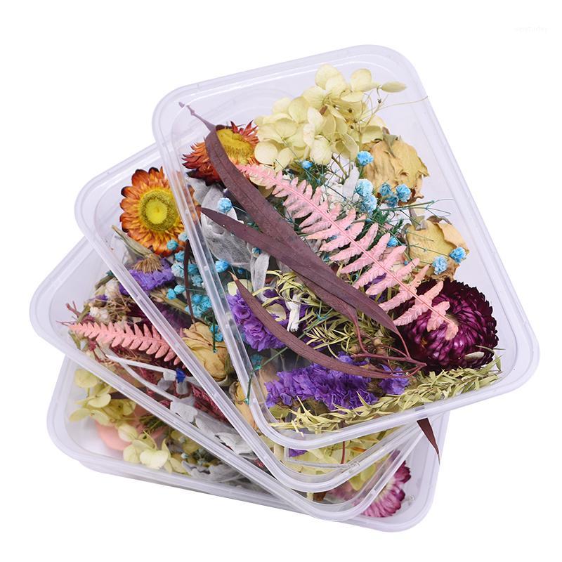 1Box Mixed Colorful Real Dried Flower Mini Eternal Plant Pressed DIY Art Scrapbooking Craft Candle Decal Wedding Party Supplies1, Radom color
1Box Mixed Colorful Real Dried Flower Mini Eternal Plant Pressed DIY Art Scrapbooking Craft Candle Decal Wedding Party Supplies1, Radom color