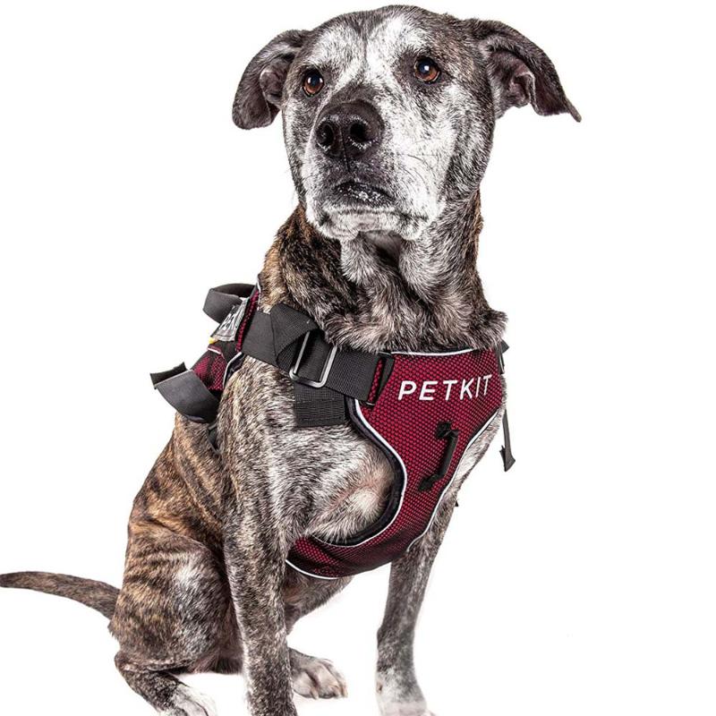 PETKIT Pet dogs collars and harnesses no pull puppy reflective vest harnesses chest for back small medium large dogs accessories
PETKIT Pet dogs collars and harnesses no pull puppy reflective vest harnesses chest for back small medium large dogs accessories