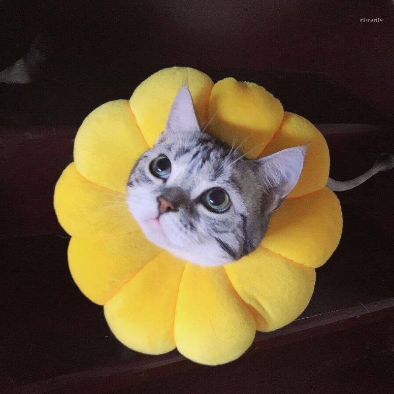 Cute flower-shaped cat and dog collar puppies collar Elizabethan collar, used for kitten puppy accessories1
Cute flower-shaped cat and dog collar puppies collar Elizabethan collar, used for kitten puppy accessories1