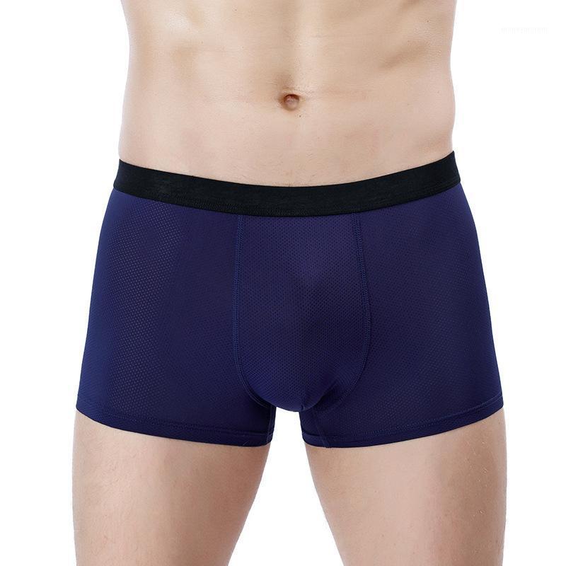Men's Underwear Ice Silk Mesh Breathable Boxer Shorts U-Convex Good Elasticity Seamless Soft Men's Shorts1, Black
Men's Underwear Ice Silk Mesh Breathable Boxer Shorts U-Convex Good Elasticity Seamless Soft Men's Shorts1, Black