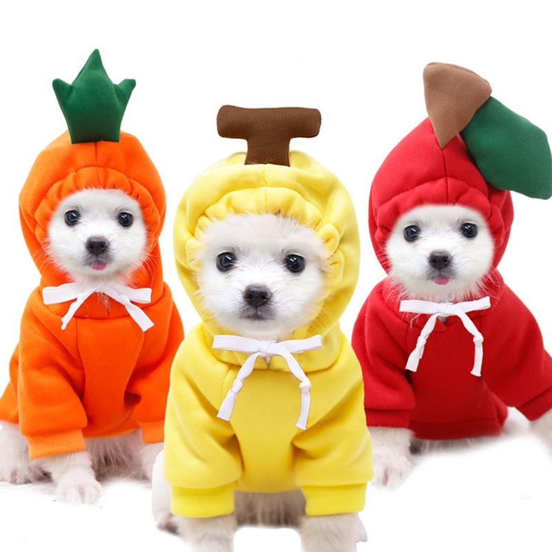 Yorkshire Terrier Clothes Winter Clothes For Small Dogs Winter Ropa De Mascota Pet Hoodie Sweatshirt For Dog Hoodie Chihuahua
Yorkshire Terrier Clothes Winter Clothes For Small Dogs Winter Ropa De Mascota Pet Hoodie Sweatshirt For Dog Hoodie Chihuahua