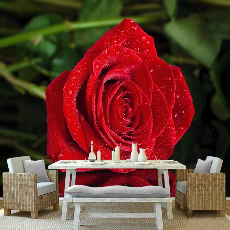 Dropship Photo Wallpaper Romantic Red Rose Reflections TV Wall Decoration Painting Mural Living Room Bedroom Custom Wallpaper, As pic
Dropship Photo Wallpaper Romantic Red Rose Reflections TV Wall Decoration Painting Mural Living Room Bedroom Custom Wallpaper, As pic