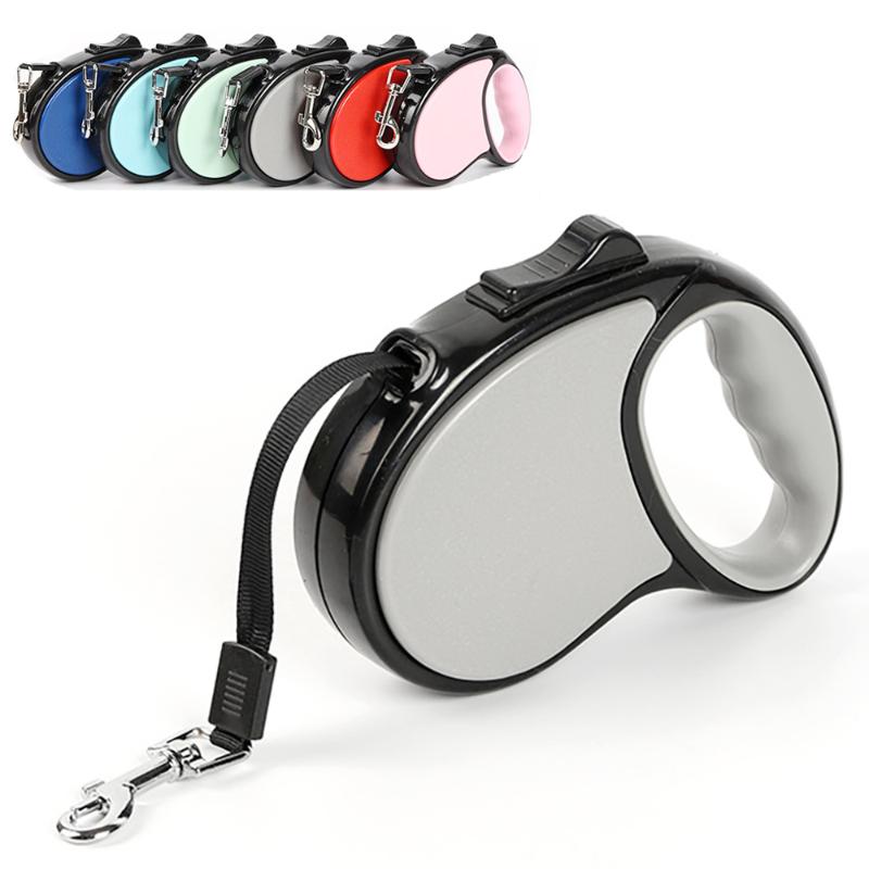 2020 New Durable Dog Leash Automatic Retractable Nylon Dog Lead Extending Puppy Walking Running Leads For Small Medium Dogs
2020 New Durable Dog Leash Automatic Retractable Nylon Dog Lead Extending Puppy Walking Running Leads For Small Medium Dogs