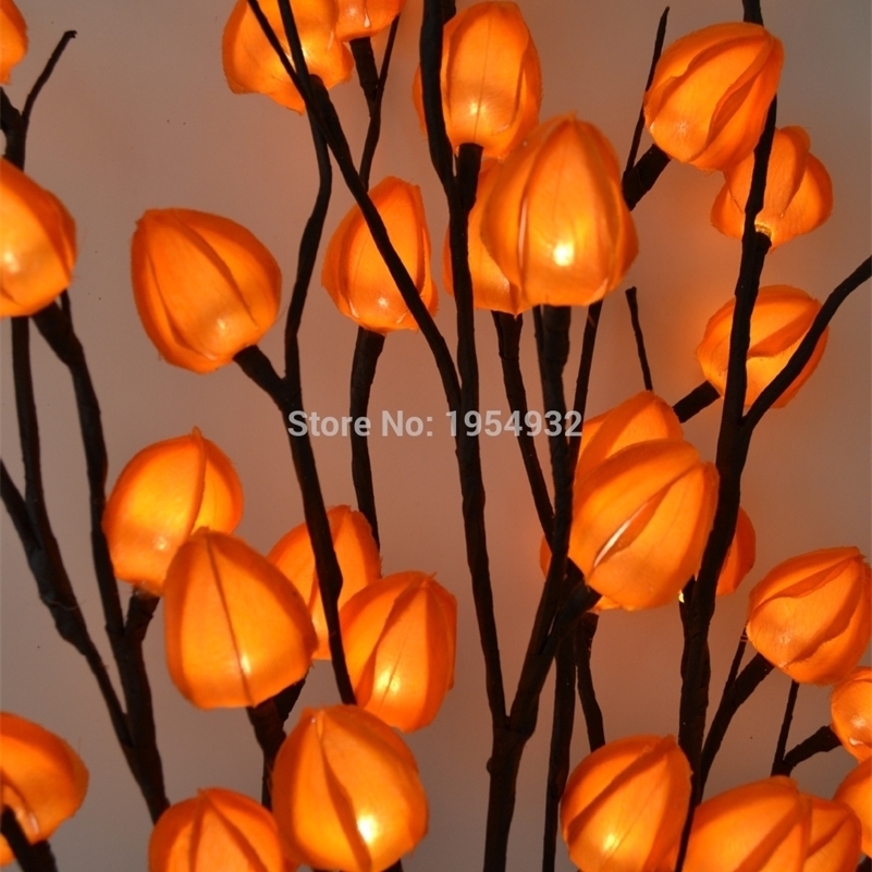 Chinese Lantern Branch Lights Branch Lamp Vase Floral Lights Home Garden Desktop Party Decoration Holiday Gift Blossom Branch 201127
Chinese Lantern Branch Lights Branch Lamp Vase Floral Lights Home Garden Desktop Party Decoration Holiday Gift Blossom Branch 201127