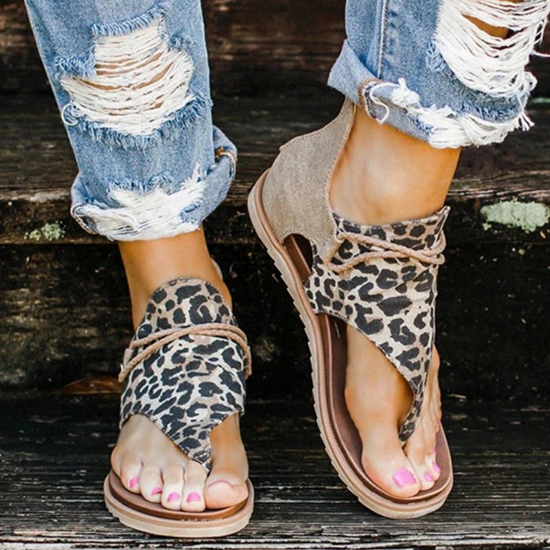 2021 The New High Salesman-women's Standard Big-size Pom Pomegranate Women's Anti-slip Sandals Sell Warm Flat Shoes N4nm, Zebra
2021 The New High Salesman-women's Standard Big-size Pom Pomegranate Women's Anti-slip Sandals Sell Warm Flat Shoes N4nm, Zebra
