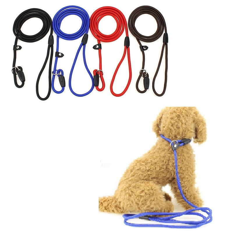 Adjustable Nylon Dog Leash Pet Rope Training Leash Adjustable Collar Leash Slip Lead Strap Adjustable Collar Pet Animals Rope Supplies
Adjustable Nylon Dog Leash Pet Rope Training Leash Adjustable Collar Leash Slip Lead Strap Adjustable Collar Pet Animals Rope Supplies