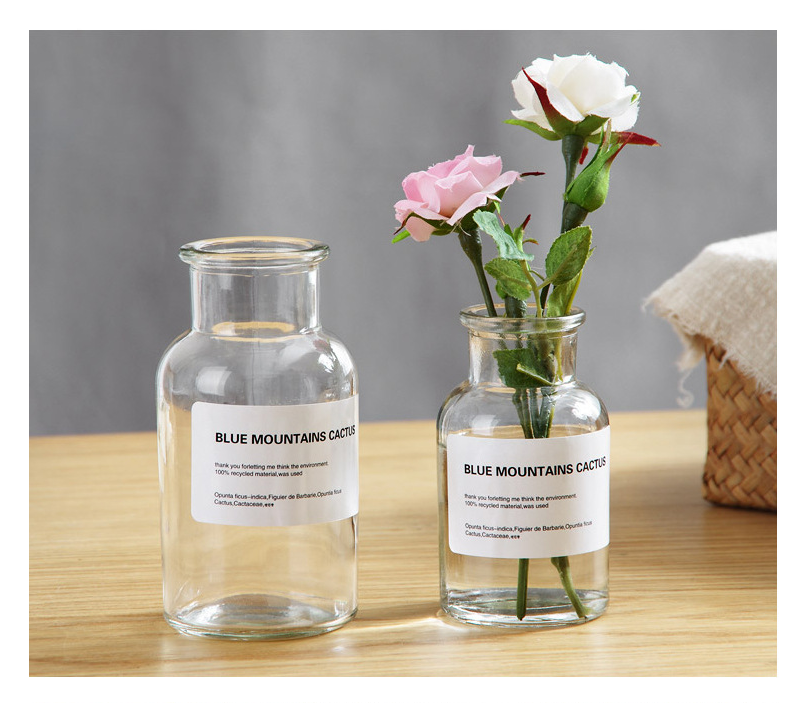 European style glass vase ins wind hydroponic vase dried flower small vase living room decoration
European style glass vase ins wind hydroponic vase dried flower small vase living room decoration