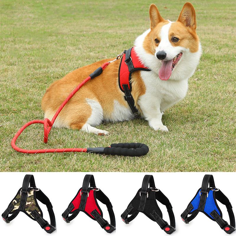 Dog Soft Adjustable Harness Pet Large Dog Walk Out Harness Vest Collar Hand Strap for Small Medium Large Dogs Pet Accessories
Dog Soft Adjustable Harness Pet Large Dog Walk Out Harness Vest Collar Hand Strap for Small Medium Large Dogs Pet Accessories