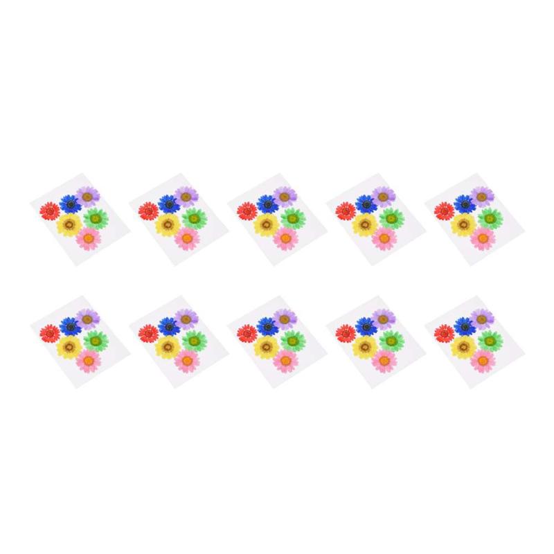 60pcs Pressed Flower Dried Daisy Flowers For Art Crafts Resin DIY Jewelry Making, White
60pcs Pressed Flower Dried Daisy Flowers For Art Crafts Resin DIY Jewelry Making, White