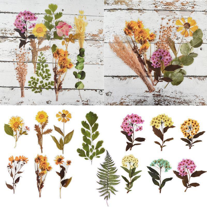 Vintage Simulation Plant Flower Stickers Floral Green Plants Palm Leaf PVC Stickers DIY Scrapbook Diary Stationery Label Sticker1
Vintage Simulation Plant Flower Stickers Floral Green Plants Palm Leaf PVC Stickers DIY Scrapbook Diary Stationery Label Sticker1