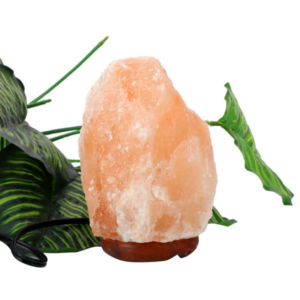 Premium Quality Himalayan Ionic Crystal Salt Rock Lamp with Dimmer Cable Cord Switch US Socket 1-2kg Night Lights
Premium Quality Himalayan Ionic Crystal Salt Rock Lamp with Dimmer Cable Cord Switch US Socket 1-2kg Night Lights