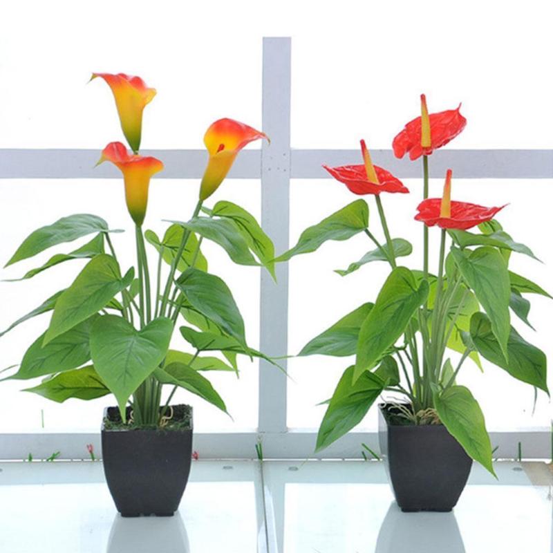 1pcs Calla Lily Artificial Flowers Calla Lily Potted Bonsai Party Green Flower Plants Supplies Plant Home Festival Decorati H1V0
1pcs Calla Lily Artificial Flowers Calla Lily Potted Bonsai Party Green Flower Plants Supplies Plant Home Festival Decorati H1V0