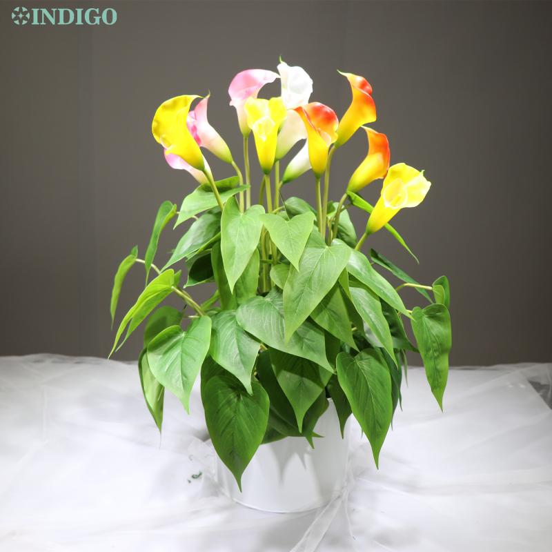 INDIGO- Sunset Calla Bouquet (18pcs Leaves+3pcs Flowers +Roots) Touch Flower Calla Wedding Flower Party DropShipping, 1 bunch light pink
INDIGO- Sunset Calla Bouquet (18pcs Leaves+3pcs Flowers +Roots) Touch Flower Calla Wedding Flower Party DropShipping, 1 bunch light pink