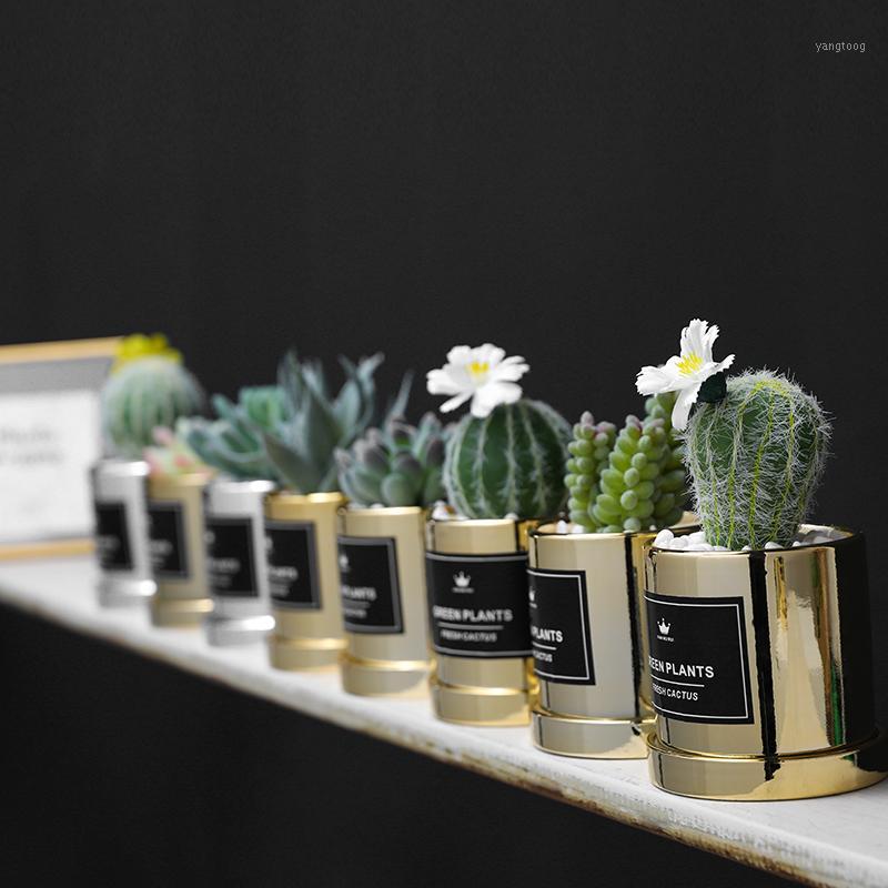 Xuanxiaotong Big 3D Cactus Potted Artificial Green Plants Bonsai for Home Balcony Decoration Plante Artificielle1, Cactus ball silver
Xuanxiaotong Big 3D Cactus Potted Artificial Green Plants Bonsai for Home Balcony Decoration Plante Artificielle1, Cactus ball silver