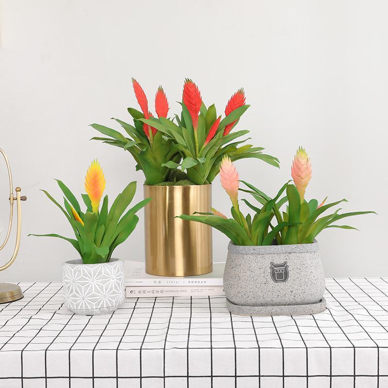 30cm Artificial Succulents Plant Home Table Deocrs Pink Red Artificial Faux Plastic Plants Grass Garden Decoration Fake Plant1
30cm Artificial Succulents Plant Home Table Deocrs Pink Red Artificial Faux Plastic Plants Grass Garden Decoration Fake Plant1