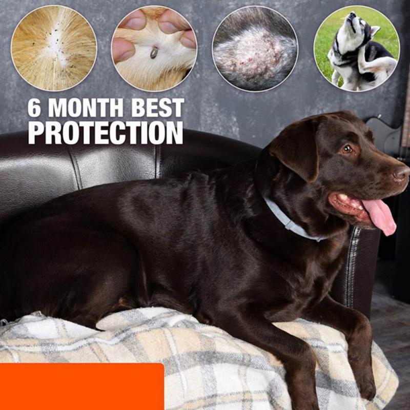 Pet Dog Cat Oils Collar Natural Essential Flea And Tick Collar For Pet Anti-Flea Mosquito Repellent Cat Dog Deworming Supplies
Pet Dog Cat Oils Collar Natural Essential Flea And Tick Collar For Pet Anti-Flea Mosquito Repellent Cat Dog Deworming Supplies