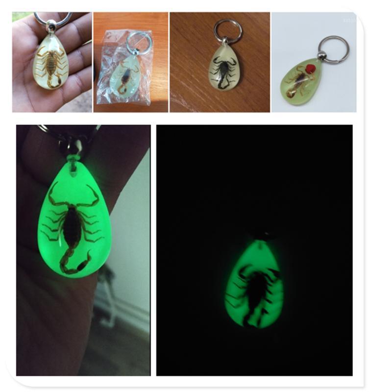 Car Accessories Luminous Insect Epoxy Keychain Resin Tweezers for 330e M235i Compact 520d 518d 428i 530d 130i1
Car Accessories Luminous Insect Epoxy Keychain Resin Tweezers for 330e M235i Compact 520d 518d 428i 530d 130i1