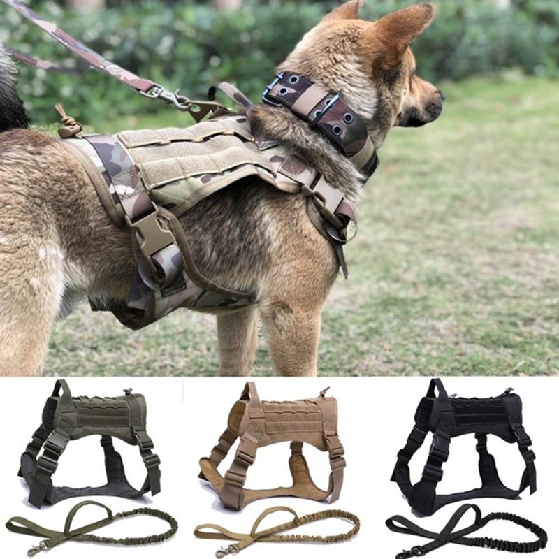 Tactical Bungee Dog Leash 2 Handle Quick Release Cat Dog Pet Leash Elastic Leads Rope Training Leashes
Tactical Bungee Dog Leash 2 Handle Quick Release Cat Dog Pet Leash Elastic Leads Rope Training Leashes