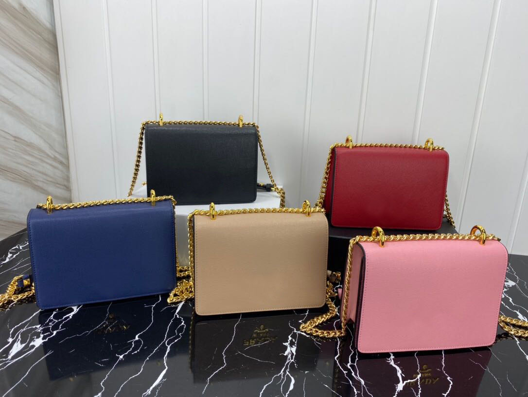 Designer shoulder bag latest hot-selling fashion 5 color chain shoulder strap silky decorative metal accessories
Designer shoulder bag latest hot-selling fashion 5 color chain shoulder strap silky decorative metal accessories