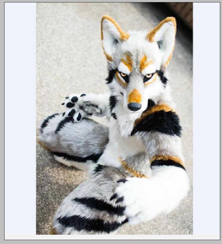 2019 Hot sale Husky Dog Fox Mascot Costume Long Fur Furry Costume Artificial fur Wolf Halloween Suit, As pic
2019 Hot sale Husky Dog Fox Mascot Costume Long Fur Furry Costume Artificial fur Wolf Halloween Suit, As pic