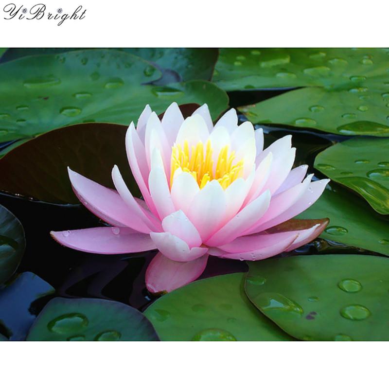 Diy diamond painting 3d diamond embroidery pink lotus flower pictures of rhinestones hobbies and crafts for handmade YQ
Diy diamond painting 3d diamond embroidery pink lotus flower pictures of rhinestones hobbies and crafts for handmade YQ