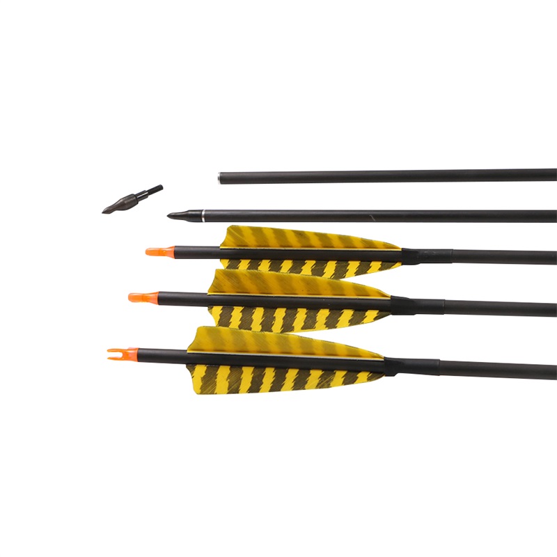 China professional hunting archery bow and arrows 31 inch carbon shaft arrows with screw filed tips archery bow outdoor shooting
China professional hunting archery bow and arrows 31 inch carbon shaft arrows with screw filed tips archery bow outdoor shooting