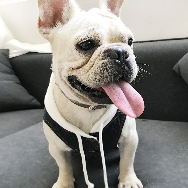 Hot Dog Clothes Small Dogs French Bulldog Denim Jacket Chihuahua Jeans Coat Hooded Vest for Pug Cat Pet Costume S-4XL T200710