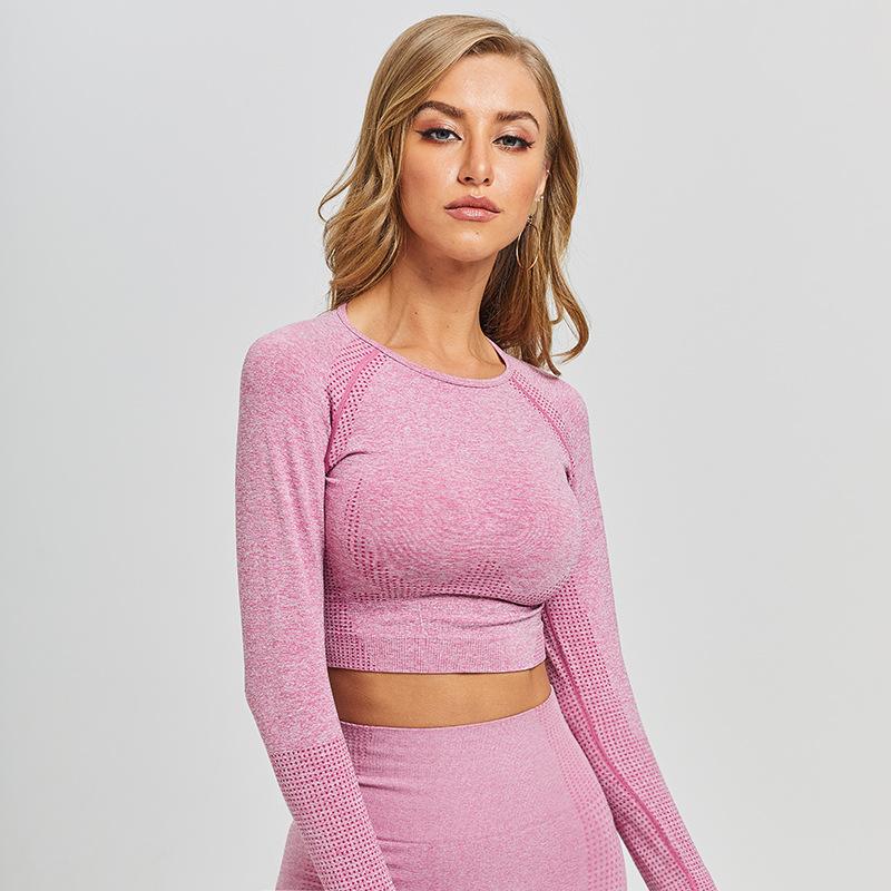 Gym Women Seamless Yoga Crop Tops Long Sleeves Skinny Fitness Yoga Shirts Woman Dot Print Elastic Running Workout Tops, Purple
Gym Women Seamless Yoga Crop Tops Long Sleeves Skinny Fitness Yoga Shirts Woman Dot Print Elastic Running Workout Tops, Purple