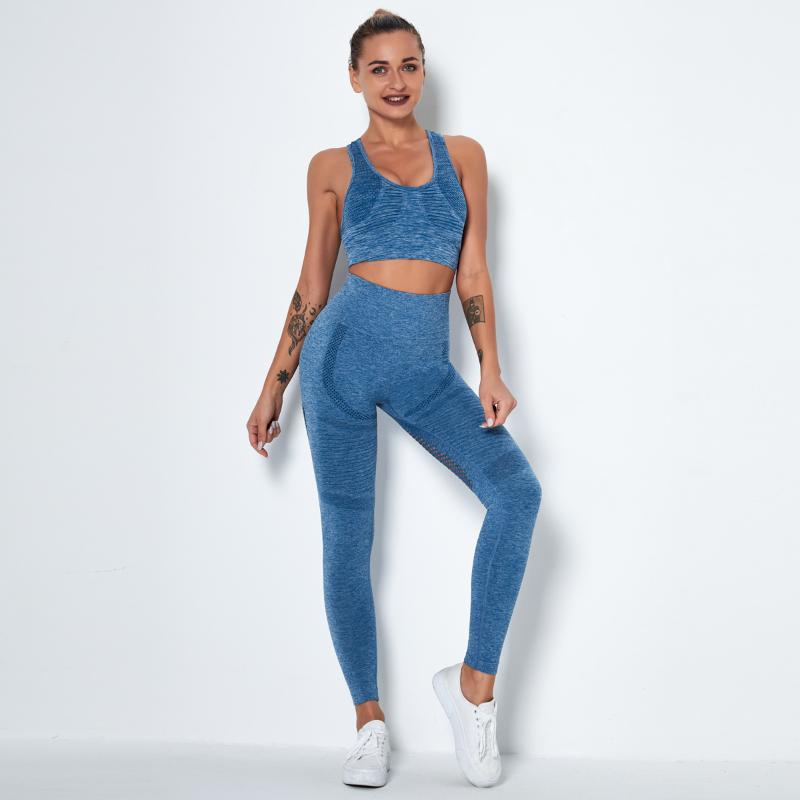 Seamless Yoga Set Women 2 Piece Tight Crop top Bra Legging Sportsuit Workout Outfit Fitness Wear Gym Sets Clothes DS38, Lgrey set
Seamless Yoga Set Women 2 Piece Tight Crop top Bra Legging Sportsuit Workout Outfit Fitness Wear Gym Sets Clothes DS38, Lgrey set