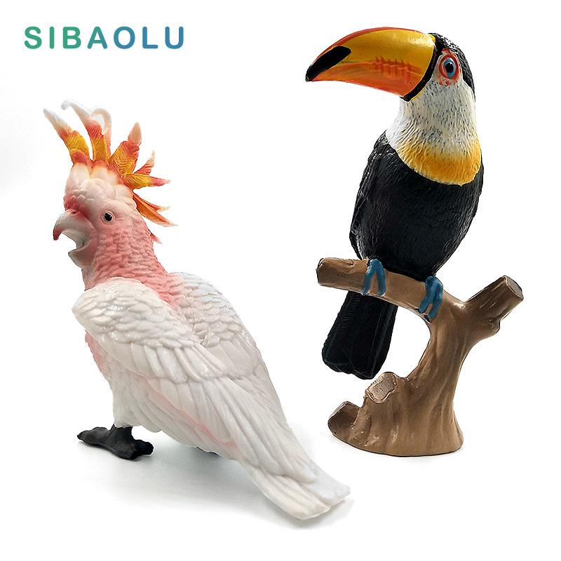 Simulation Toucan Cockatoo figure Animal Model Bird Parrot Figurine home decor miniature fairy garden decoration accessories toy
Simulation Toucan Cockatoo figure Animal Model Bird Parrot Figurine home decor miniature fairy garden decoration accessories toy