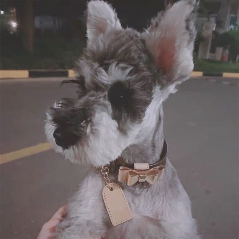 pet dogs pets accessories chihuahua supplies cat Cowhide dog cow leather collar LJ201202
pet dogs pets accessories chihuahua supplies cat Cowhide dog cow leather collar LJ201202