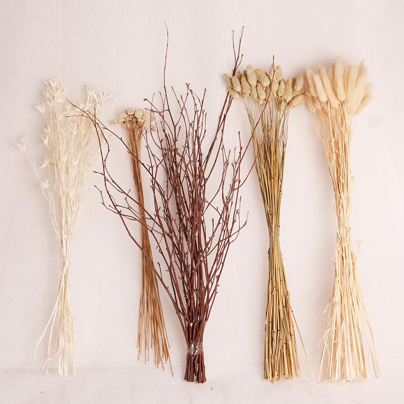 Natural Dried Flowers Setaria reed flower Wedding Party Decoration Craft Scrapbook Diy Home Decoration Wheat Bouquet Photo Props, F3111 
Natural Dried Flowers Setaria reed flower Wedding Party Decoration Craft Scrapbook Diy Home Decoration Wheat Bouquet Photo Props, F3111