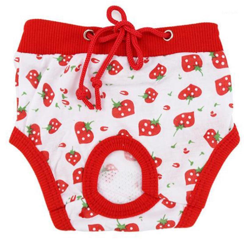 Cotton Pet Safety Pants Comfortable Dog Menstruation Pants Sanitary Physiological for Cat Dog Pet (Random Style, Size S)1, As shown
Cotton Pet Safety Pants Comfortable Dog Menstruation Pants Sanitary Physiological for Cat Dog Pet (Random Style, Size S)1, As shown