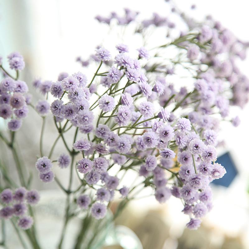 Natural Dried Flowers Bouquets Translucidus Artificial And Dried Flowers Baby's Breath Floral Wedding Bouquet Party Decor L0604, Purple
Natural Dried Flowers Bouquets Translucidus Artificial And Dried Flowers Baby's Breath Floral Wedding Bouquet Party Decor L0604, Purple