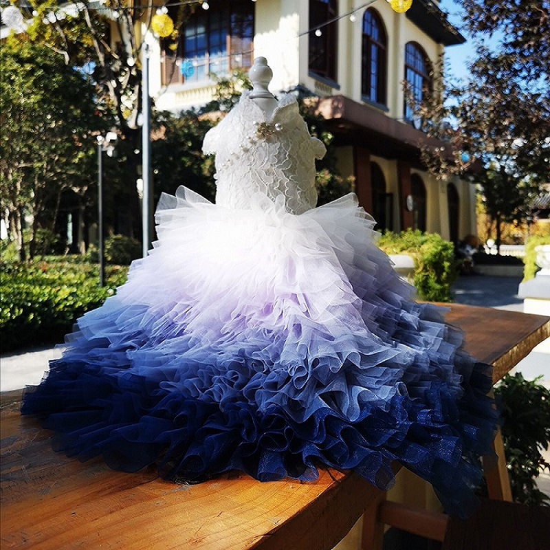Free Shipping Handmade Dog Clothes Dog Princess Dress Lace Vast Ocean Blue Gradient Tulle Skirt Chapel Train Pet Trailing Gown, Light blue
Free Shipping Handmade Dog Clothes Dog Princess Dress Lace Vast Ocean Blue Gradient Tulle Skirt Chapel Train Pet Trailing Gown, Light blue