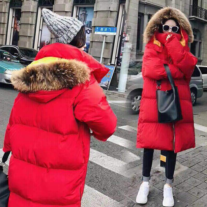 Female Long Korean Winter Jacket for Woman, Big Size, Thick Down Jacket, Raccoon Skin Clothing Z21r, Blue one
Female Long Korean Winter Jacket for Woman, Big Size, Thick Down Jacket, Raccoon Skin Clothing Z21r, Blue one