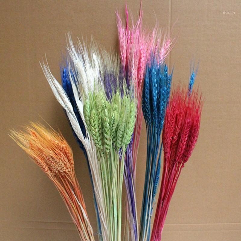 25pcs Artificial Wheat Photography Wedding Decoration DIY Crafts Decorate Artificial Flowers Festive Party Grain1
25pcs Artificial Wheat Photography Wedding Decoration DIY Crafts Decorate Artificial Flowers Festive Party Grain1