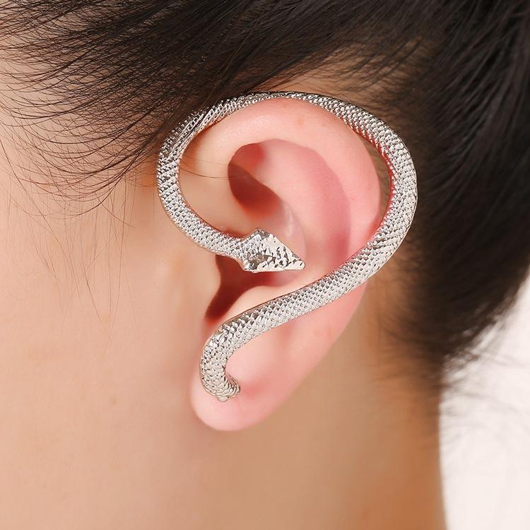 Distorted Snake Geometric Hip-Hop Earrings Female Jewelry Exaggerated Serpentine Embossed Stud Earring For Women Halloween gift
Distorted Snake Geometric Hip-Hop Earrings Female Jewelry Exaggerated Serpentine Embossed Stud Earring For Women Halloween gift